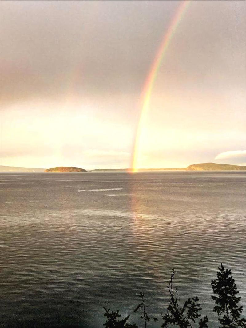 Friday Harbor Grand B&B image