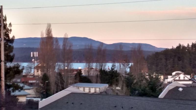 Friday Harbor Grand B&B image
