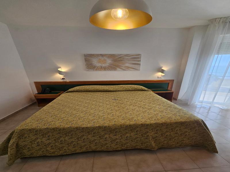 Hotel Neptunus image