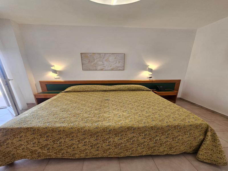 Hotel Neptunus image