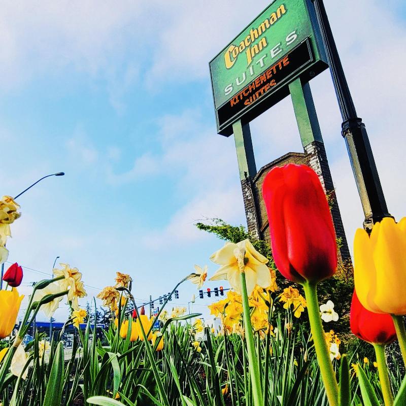 Coachman Inn & Suites image