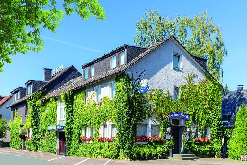 Hotel Grüner Sand image