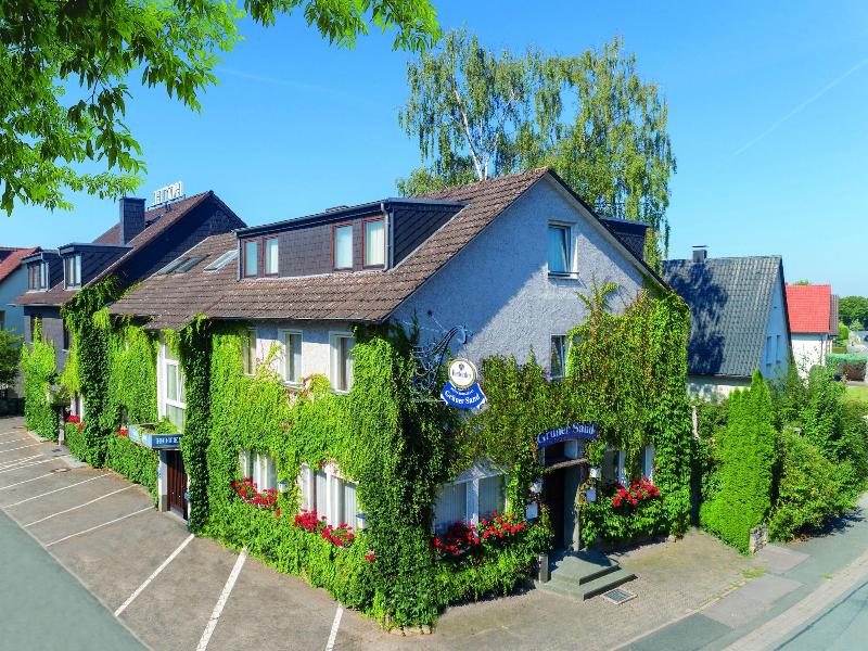 Hotel Grüner Sand image