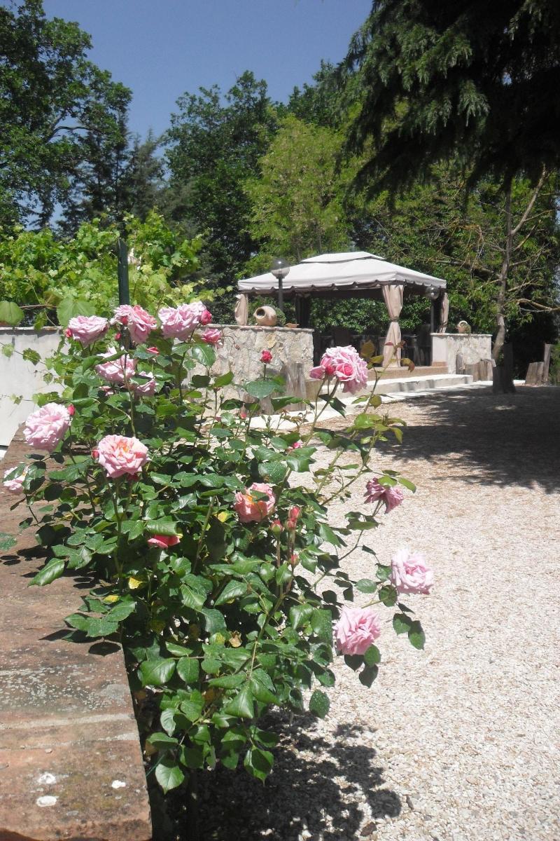Il Querceto - B&B e Appartamenti Vacanze image