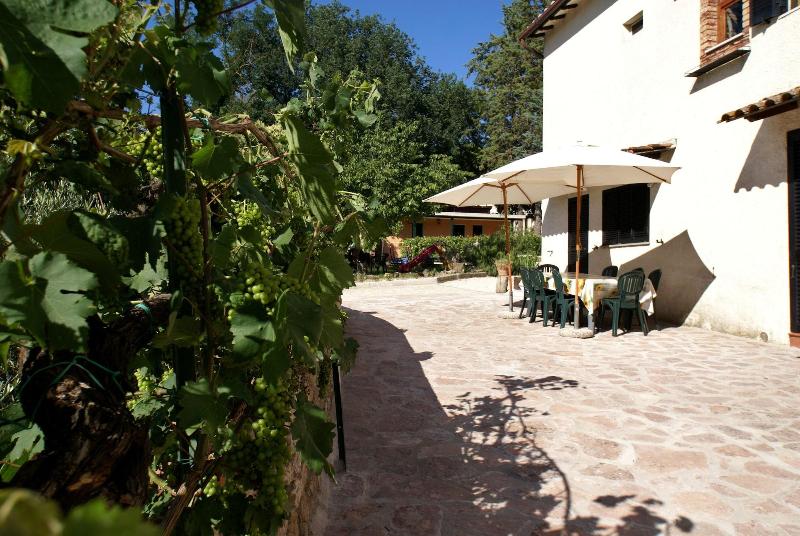 Il Querceto - B&B e Appartamenti Vacanze image