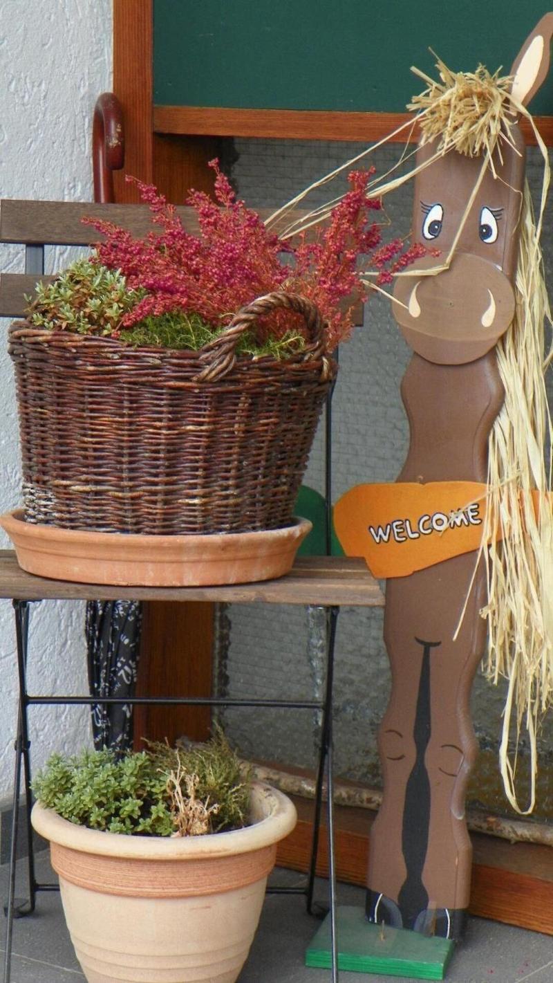 Reiter- und Ferienhof Redder image