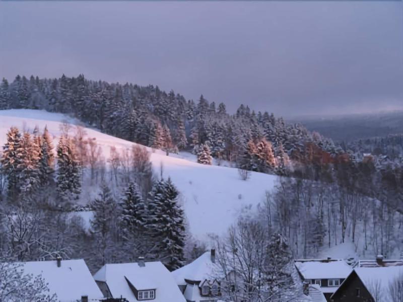 Hotel Zum Forsthaus image