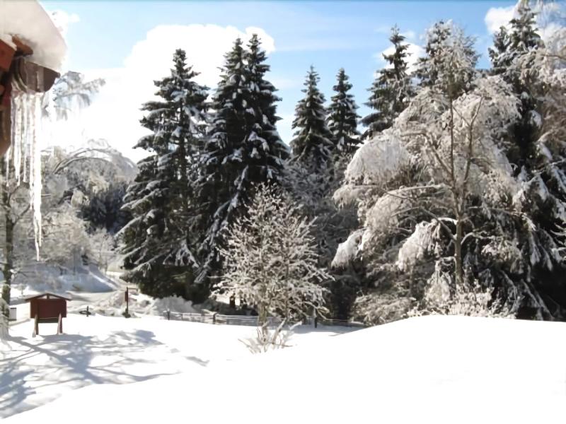 Hotel Zum Forsthaus image