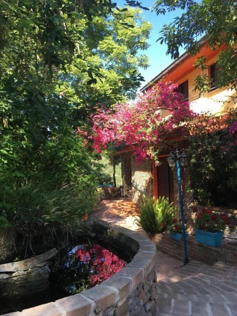 Hotel Sant'Elene image