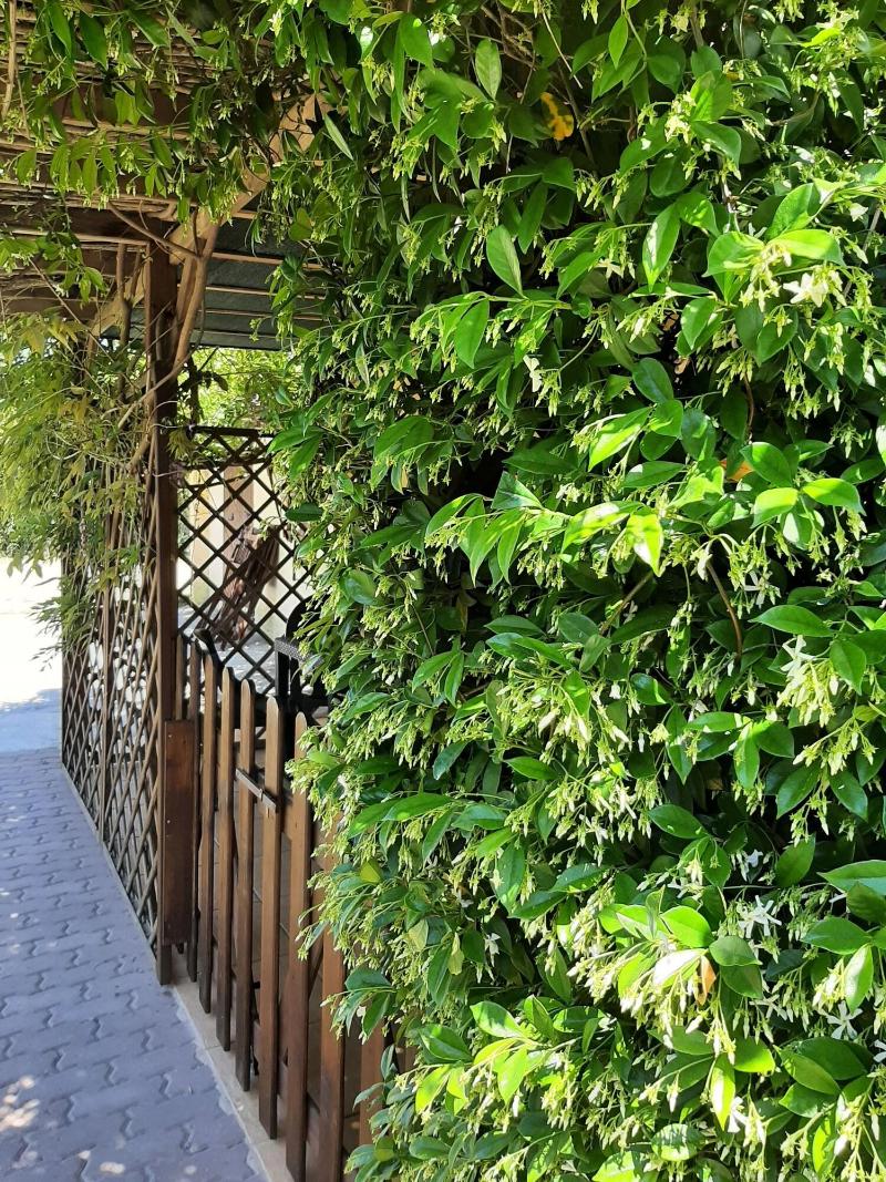Bed And Breakfast Dal Pozzo image