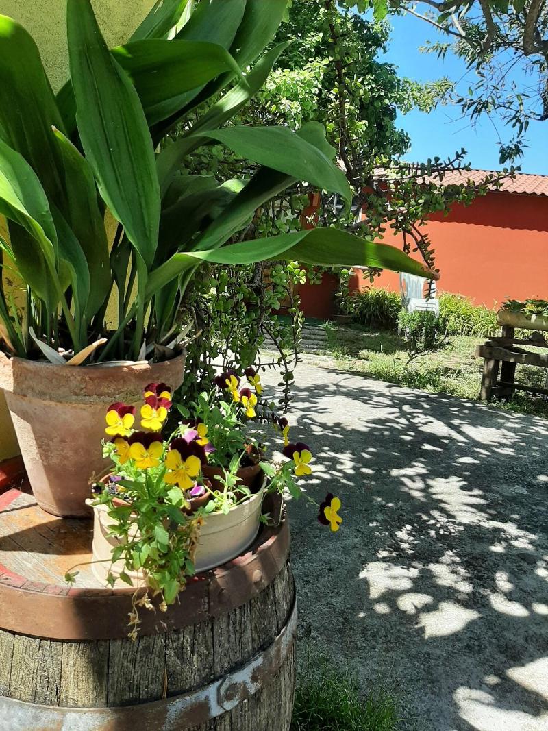 Bed And Breakfast Dal Pozzo image