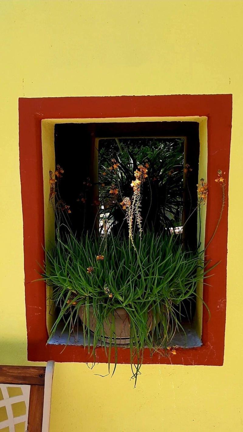 Bed And Breakfast Dal Pozzo image
