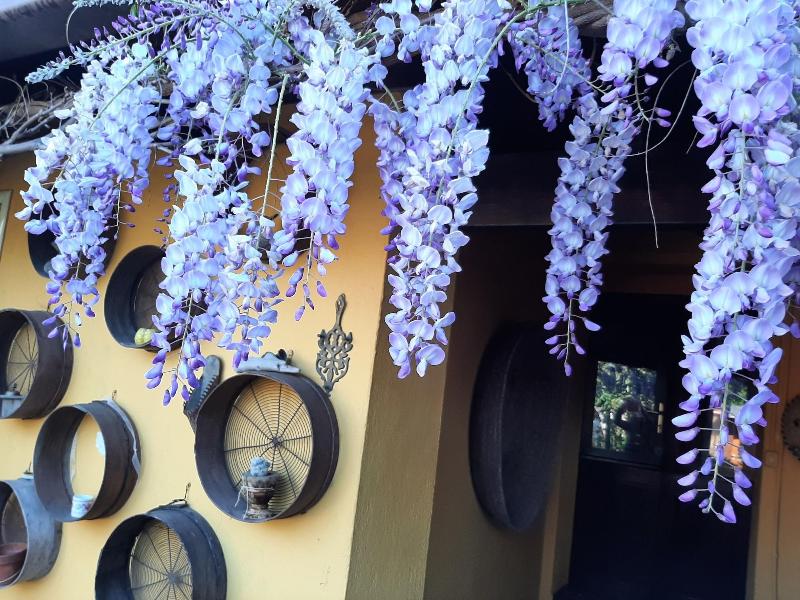 Bed And Breakfast Dal Pozzo image
