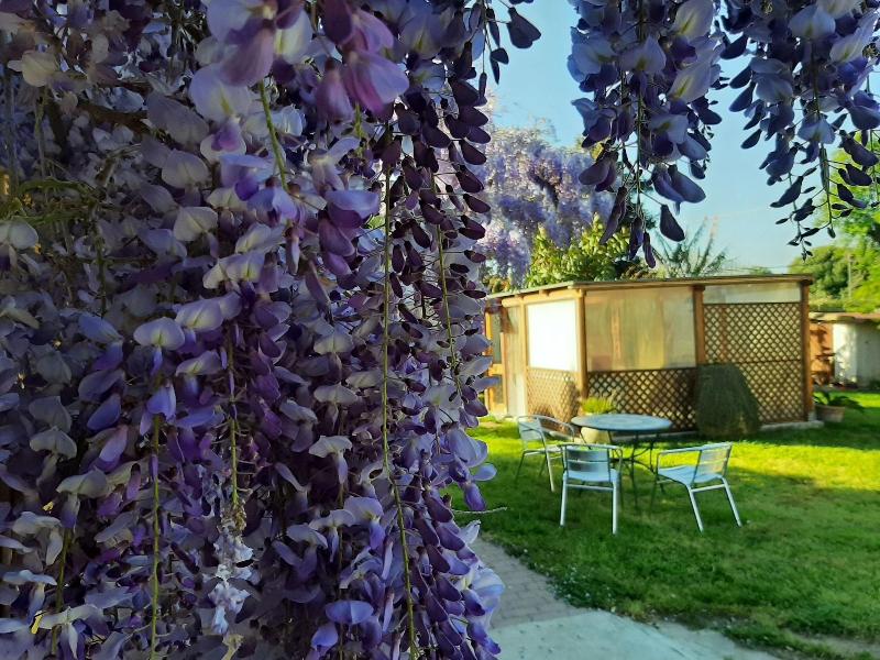 Bed And Breakfast Dal Pozzo image