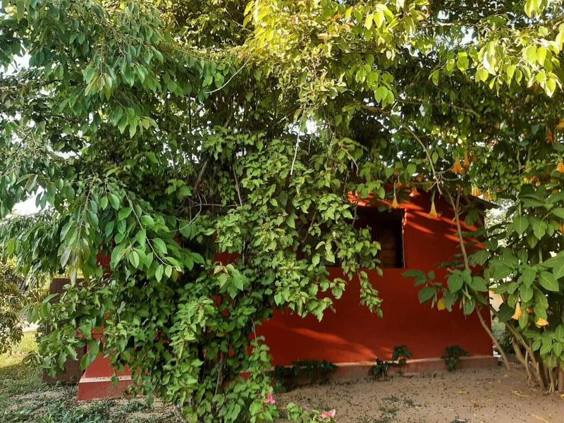 Bed And Breakfast Dal Pozzo image