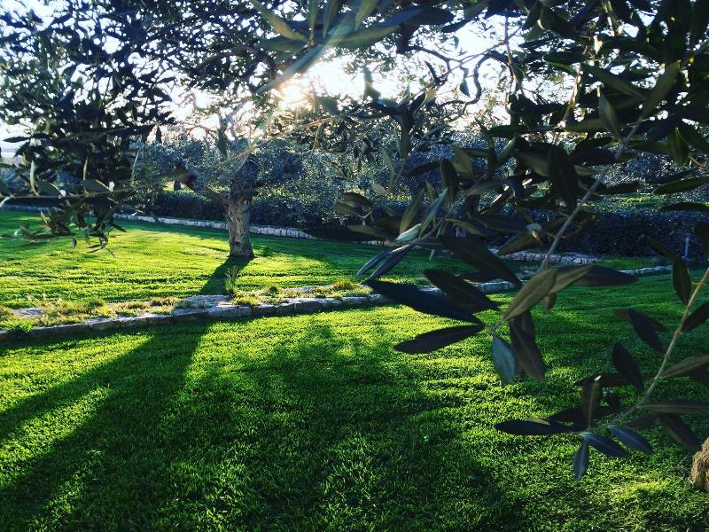 Masseria Gravelle image