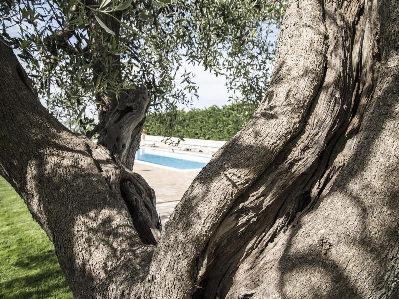 Masseria Gravelle image