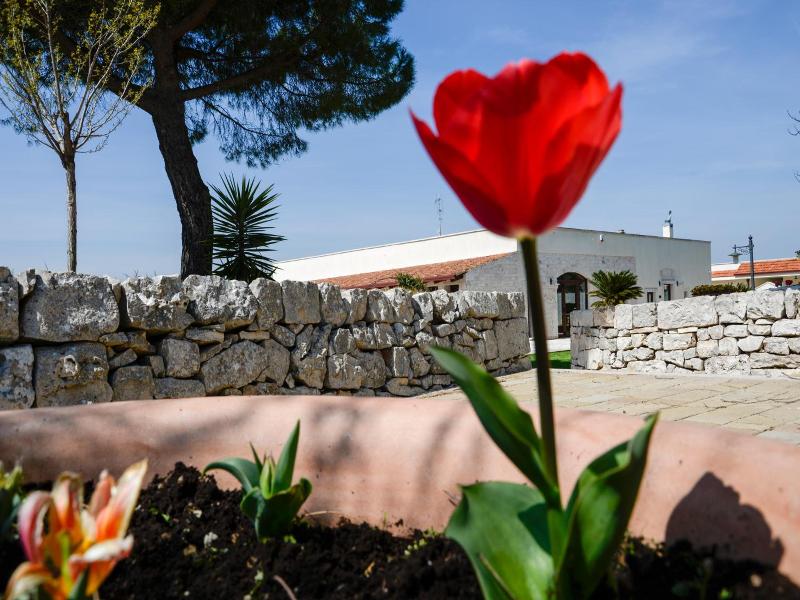Masseria Gravelle image