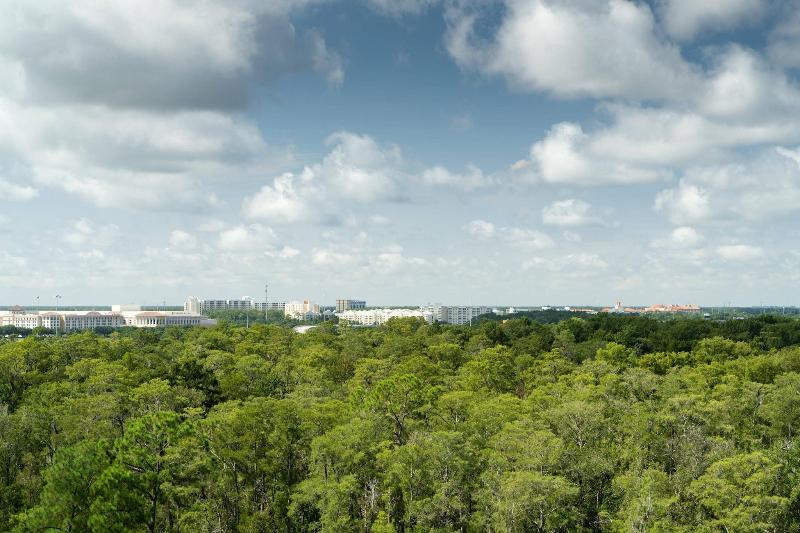 JW Marriott Orlando Bonnet Creek Resort & Spa image