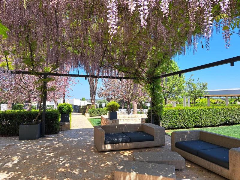 Relais Il Santissimo image