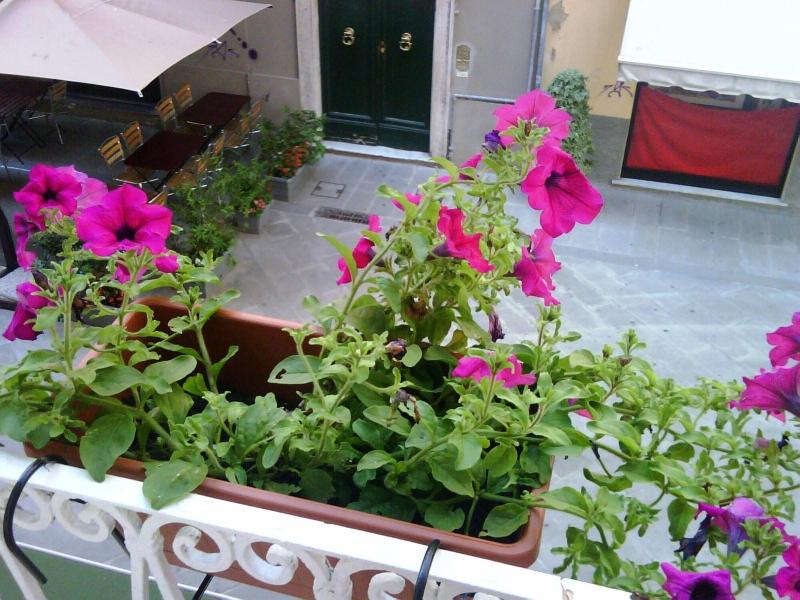 Foresteria Del Pescatore image