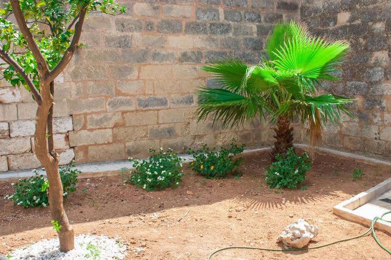 Riz Salento Guest House image