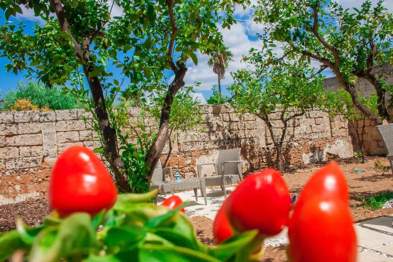 Riz Salento Guest House image