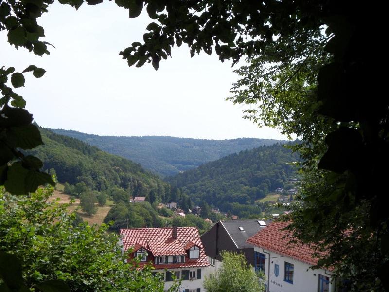 Haus Fermate image