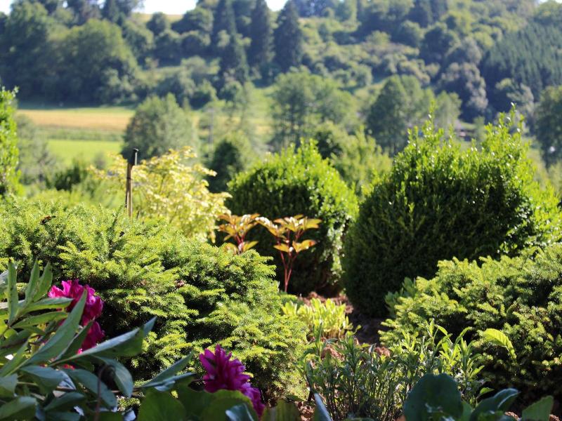 Hotel Tannenhof image