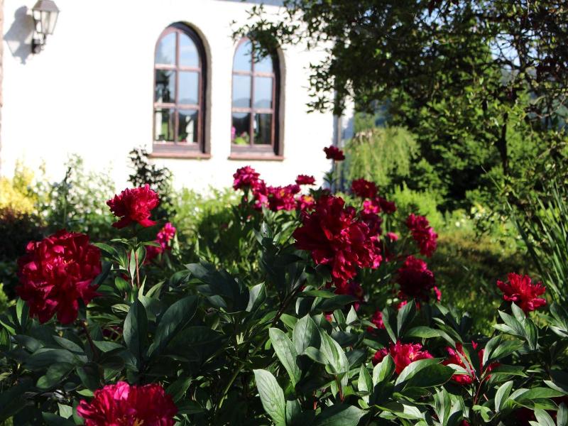 Hotel Tannenhof image