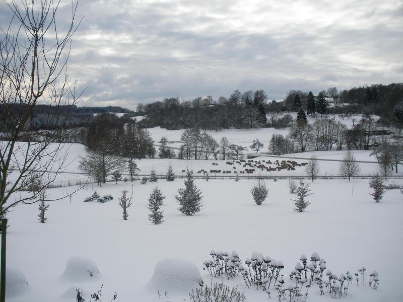 Hotel Tannenhof image