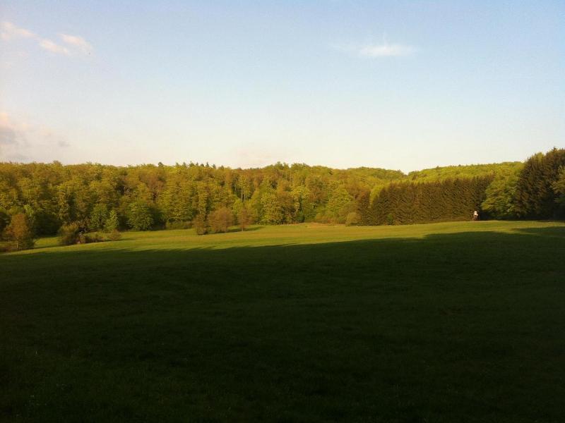 Hotel Tannenhof image