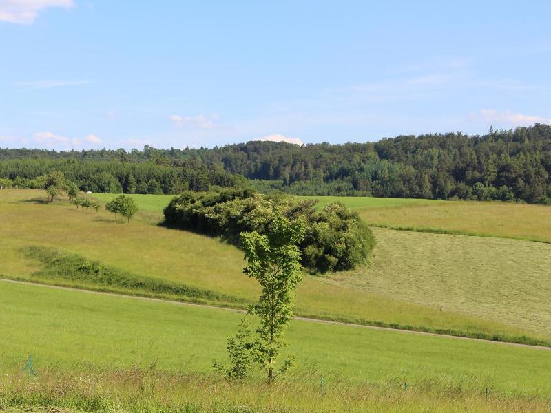 Hotel Tannenhof image