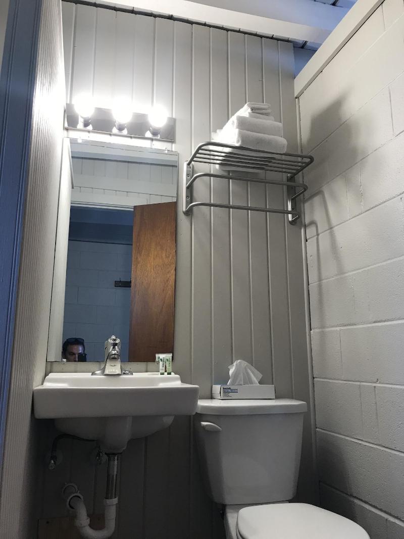 The Cedar Motel image