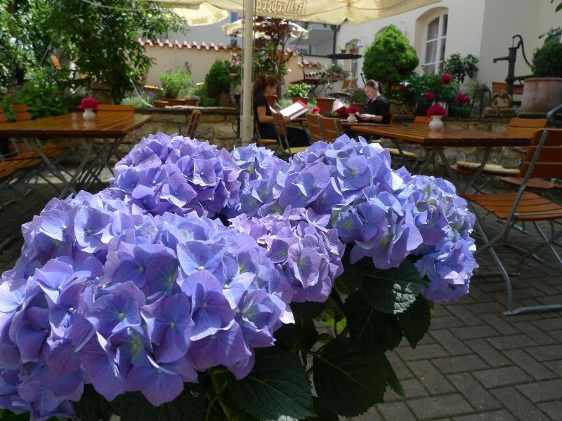 Hotel Roter Ochsen Lauchheim image
