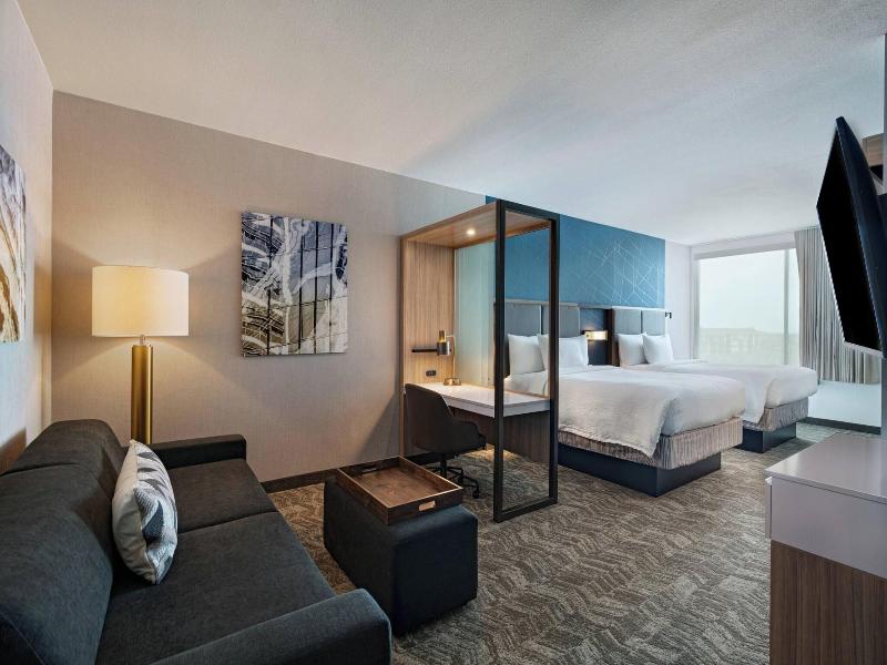 SpringHill Suites by Marriott Dallas Richardson/Un image