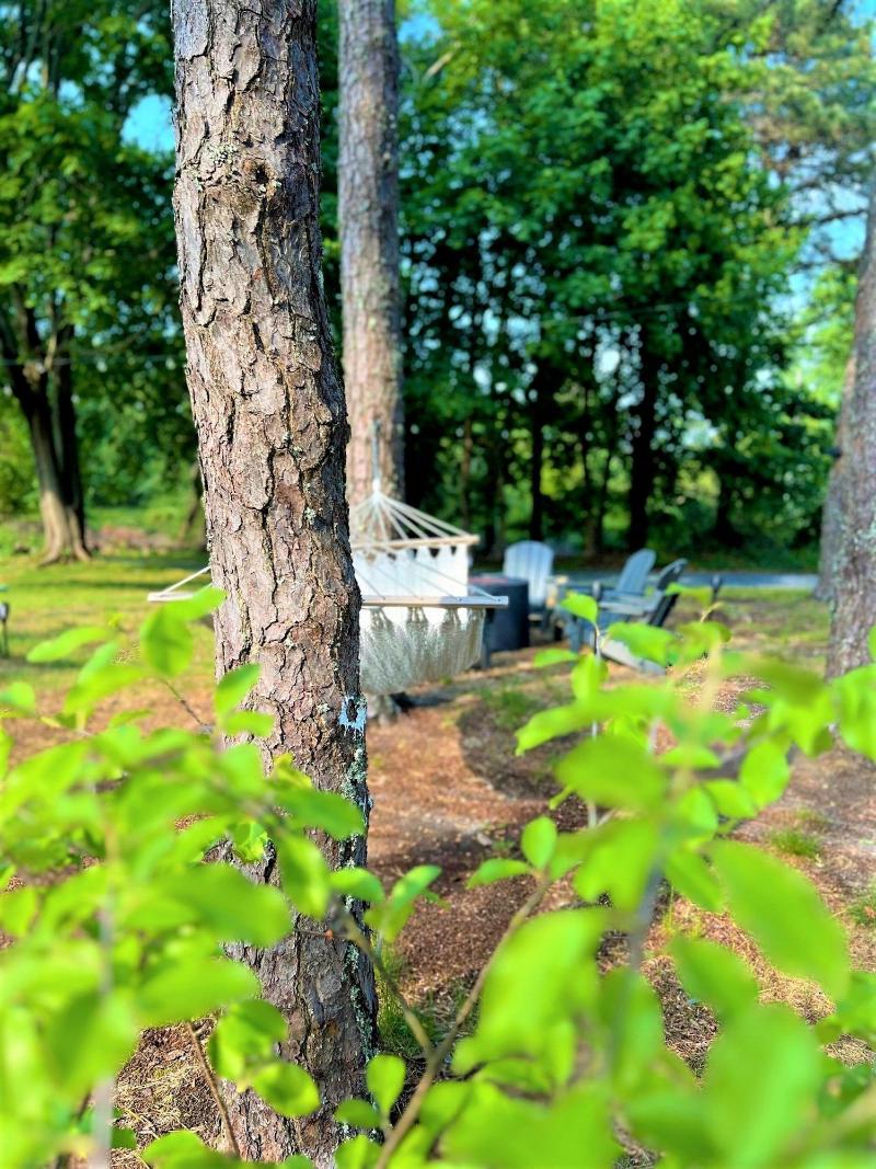 The Seagrove Suites & Guest Rooms image