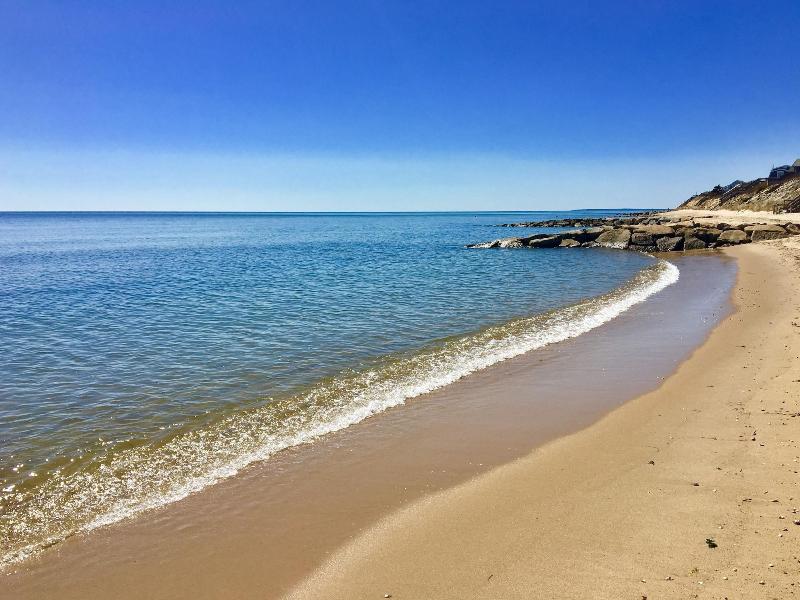 Kingfisher Oceanside image