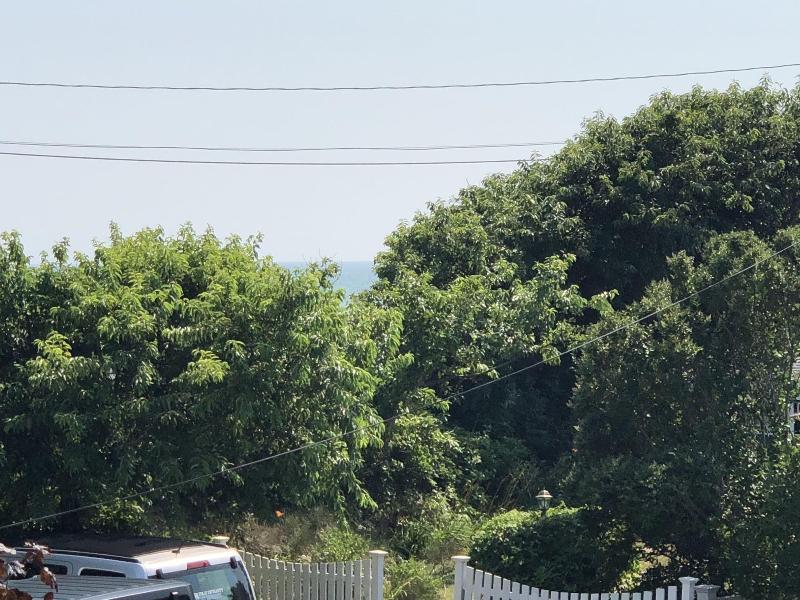 Kingfisher Oceanside image