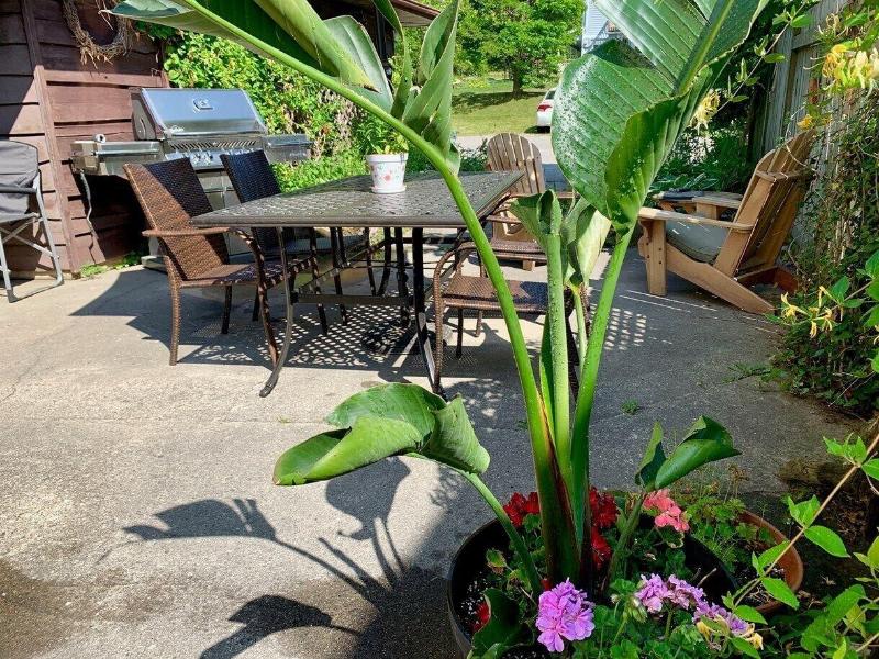Paradise Inn On The Beach image
