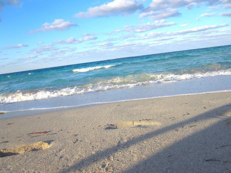 Paradise Inn On The Beach image