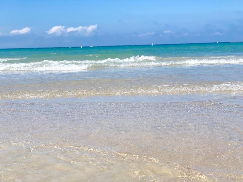 Paradise Inn On The Beach image