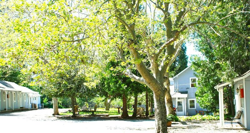 The Pines Motel And Cottages image