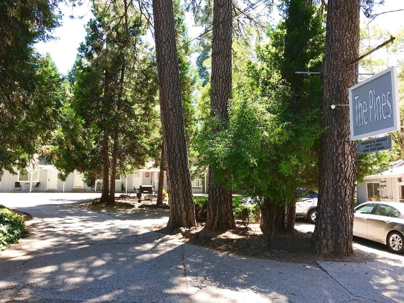 The Pines Motel And Cottages image