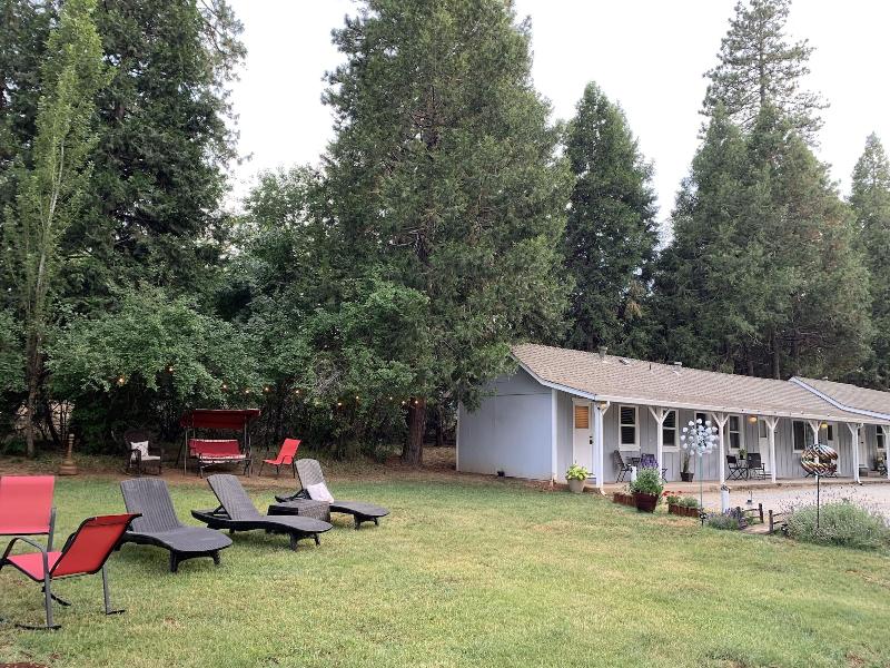 The Pines Motel And Cottages image