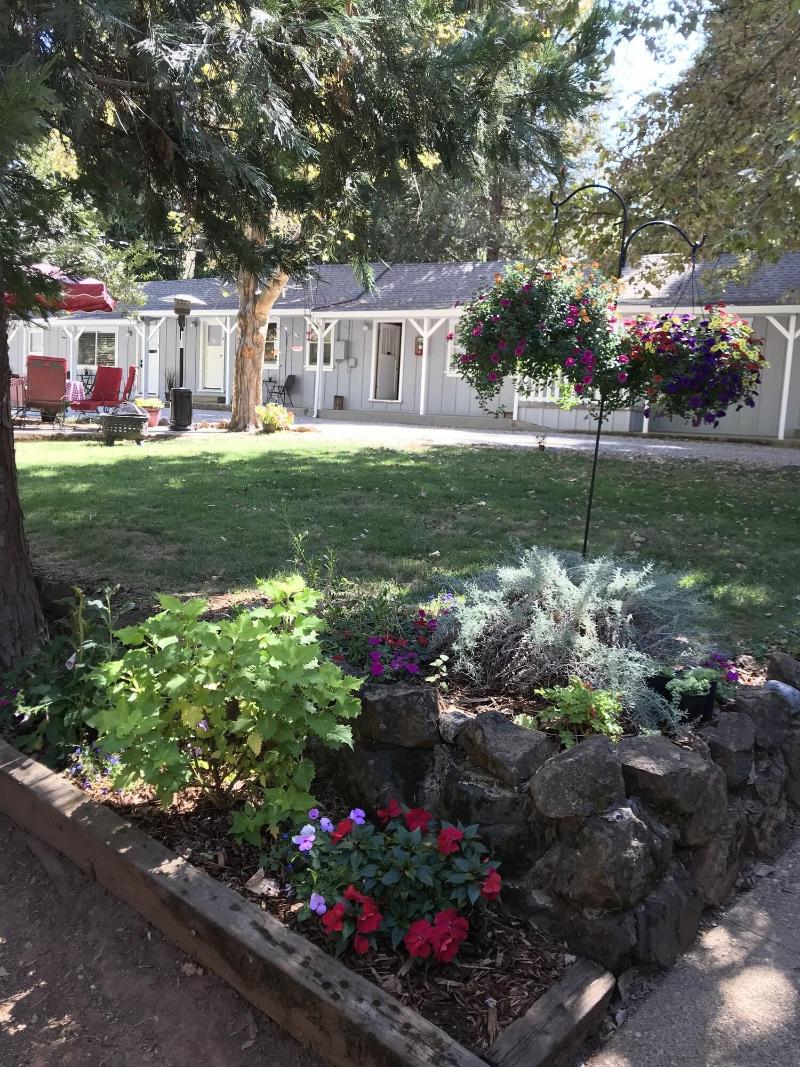 The Pines Motel And Cottages image