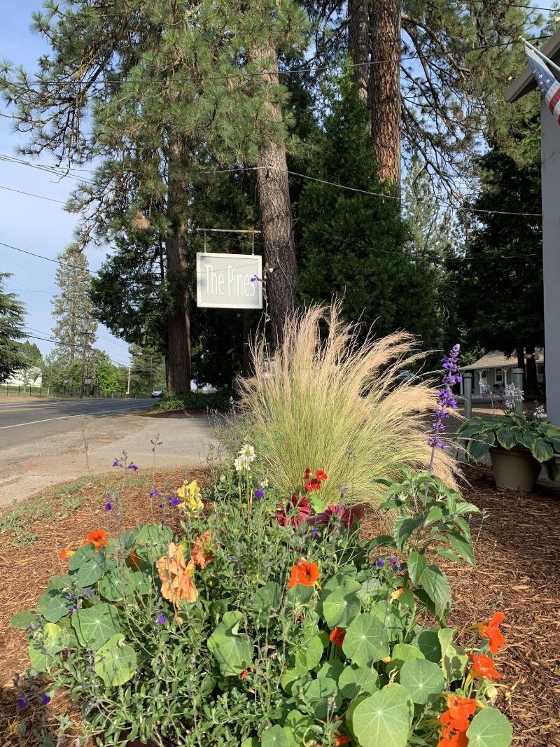 The Pines Motel And Cottages image