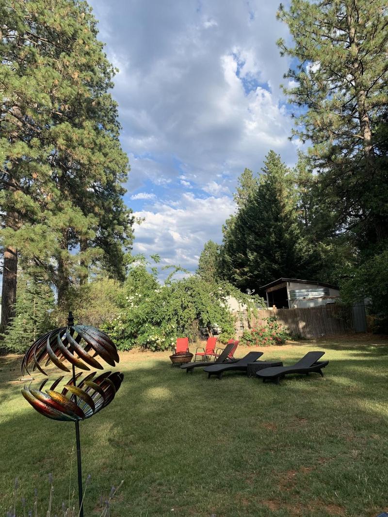 The Pines Motel And Cottages image