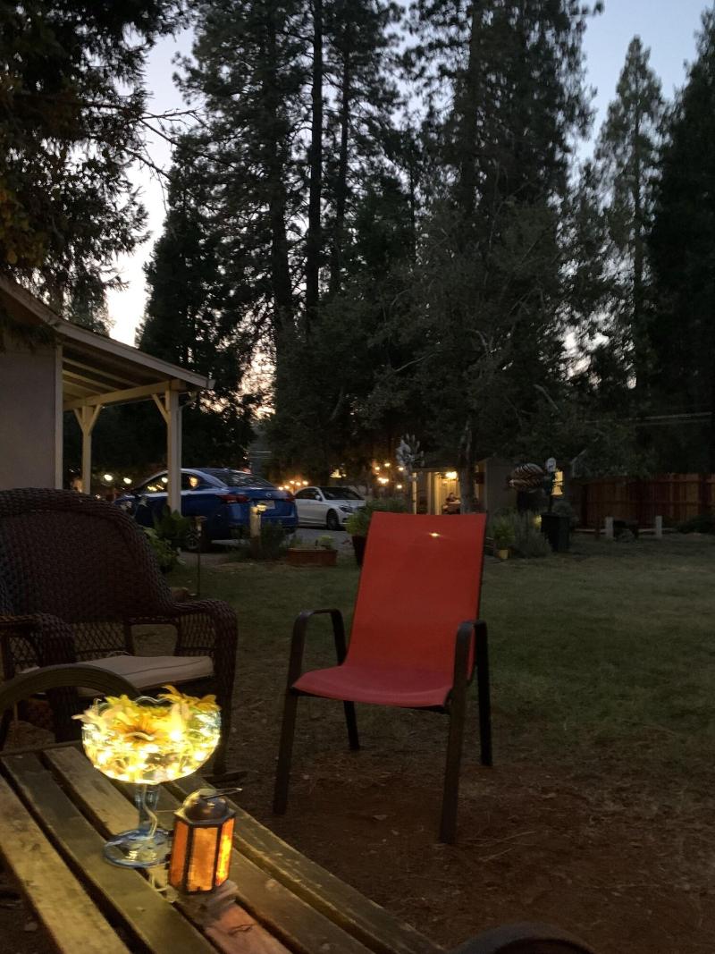 The Pines Motel And Cottages image