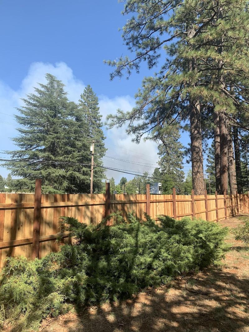 The Pines Motel And Cottages image